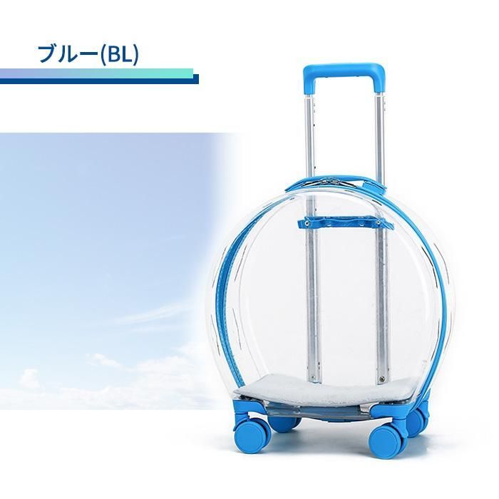 カプセル型
