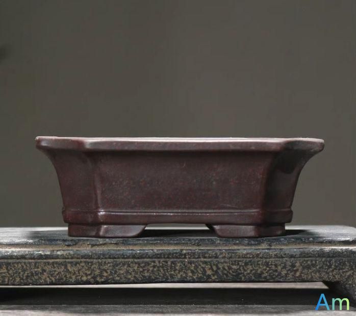 青磁柱状の蘭鉢 盆栽鉢   植木鉢 小品盆栽鉢 大品盆栽鉢 青磁柱状の蘭鉢 盆栽鉢 植木鉢 小品盆栽鉢 大品盆栽鉢