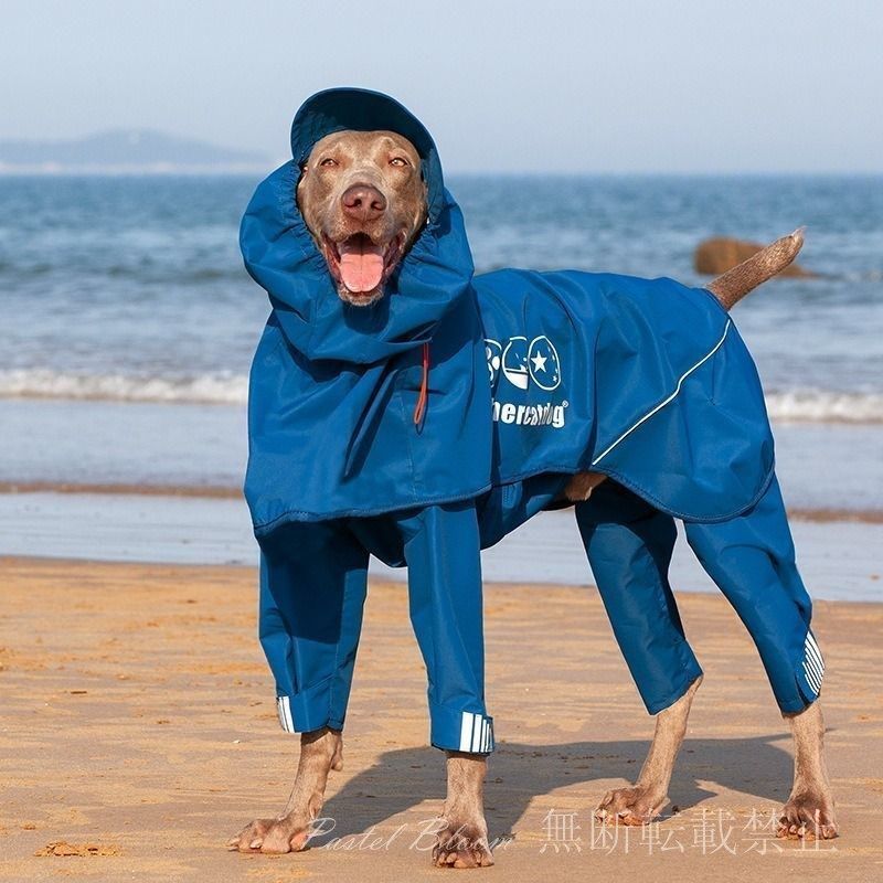 中型犬 大型犬