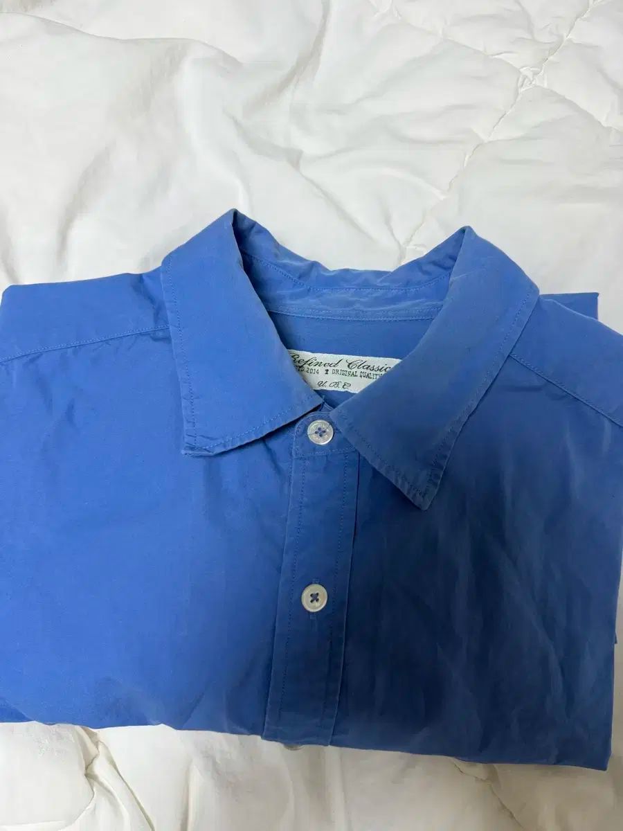 シャツ セルリアン