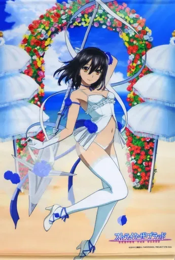 2025年最新】 ストライク・ザ・ブラッド 姫柊雪菜 常夏の