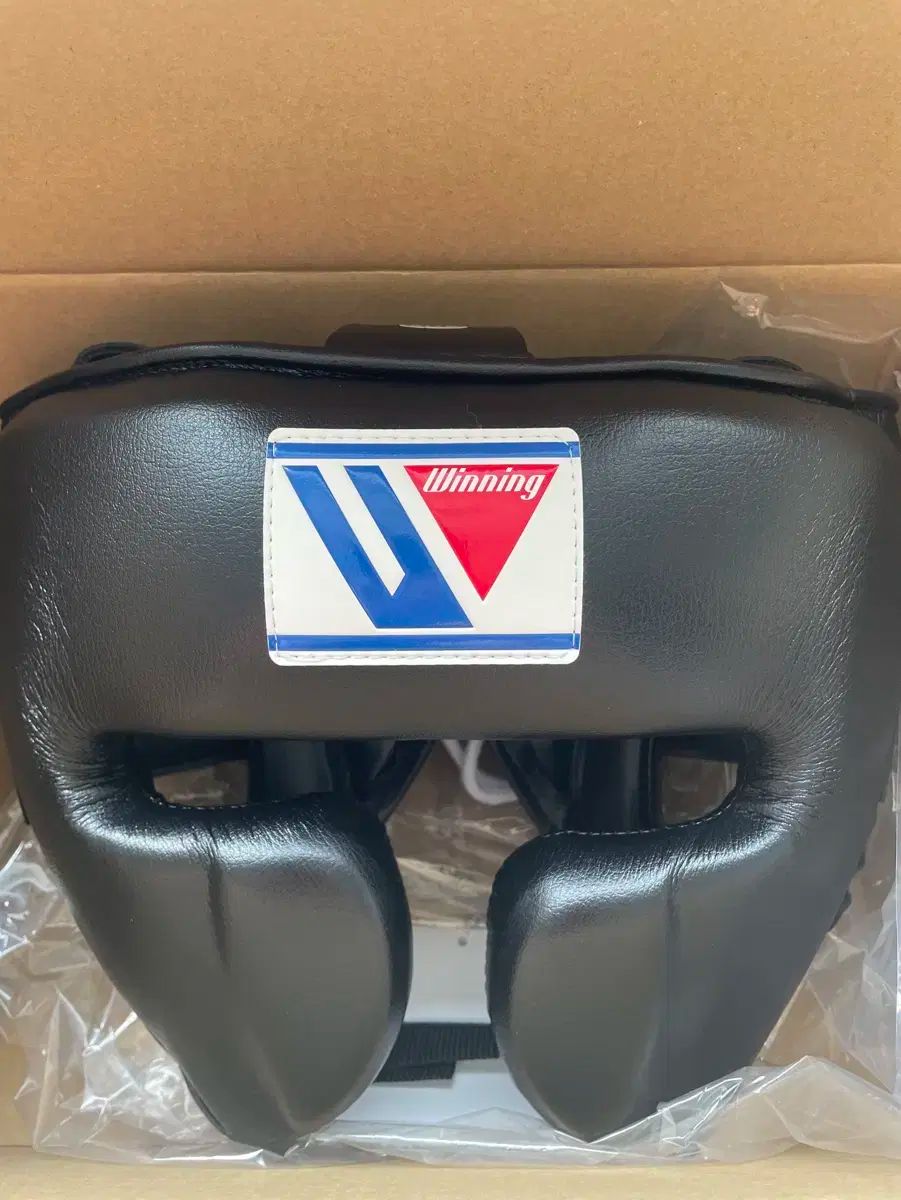 ウィニング Winning FG ー 2900 T 今すぐ ヘッドギア