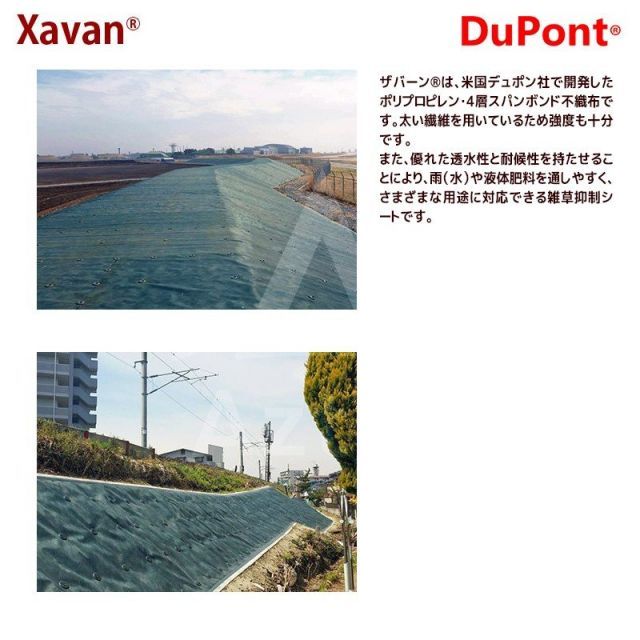 2mx30m