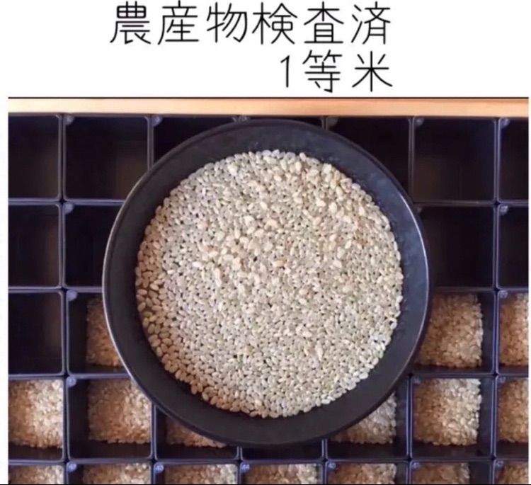 新米！栃木県産コシヒカリ【特別栽培米】 玄米30kg - メルカリ