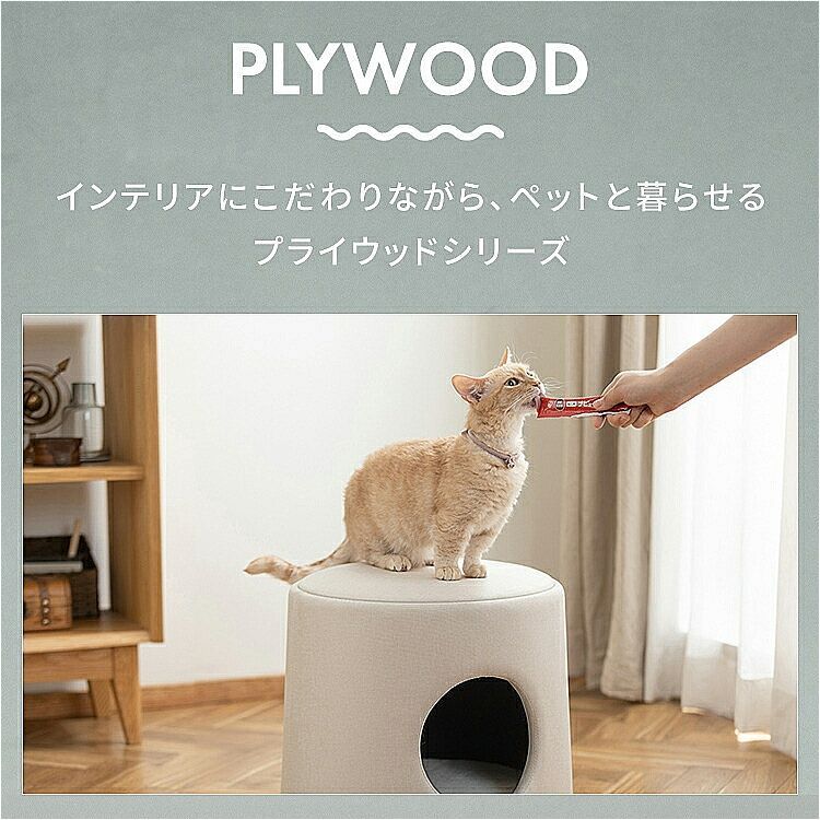 チェア ハウス