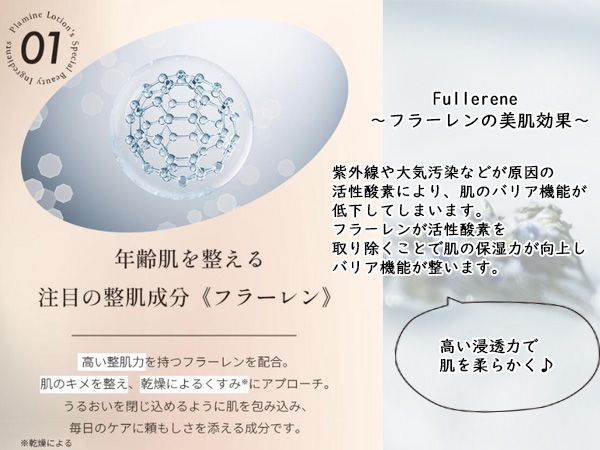 正規販売店