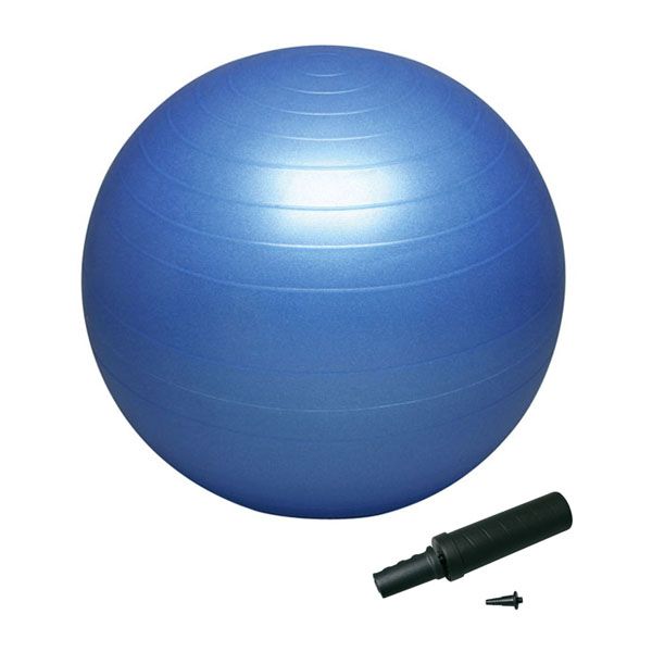 ハタ HATAS バランスボールセイフティー55cm ポンプ付 バランスボール 体幹 トレーニング エクササイズ 宅トレ 家トレ 筋トレ  DB55P -