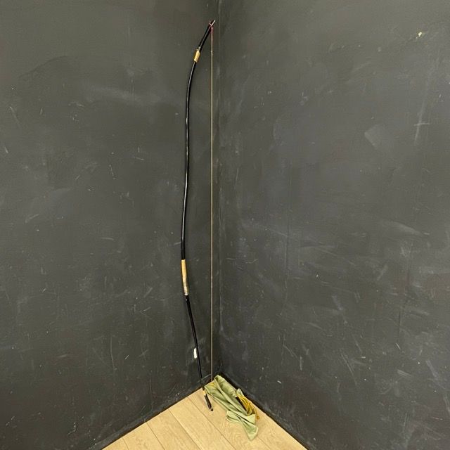 美形。アカシアフロリバンダ1.7M(鉢底から)品番B ミモザ ミモザの種