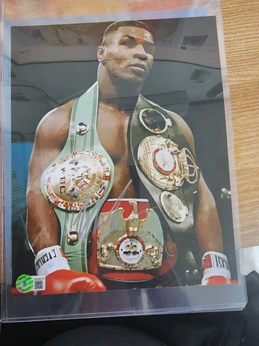 マイクタイソン サイン入りグローブ 大型71cm ヘビー級ボクシング