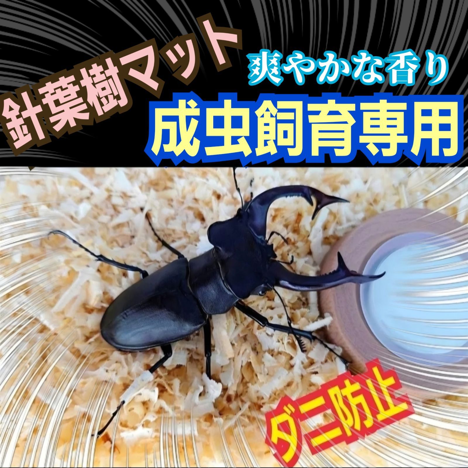 カブトムシ・クワガタの成虫飼育に！ハスクチップ5L転倒防止に 消