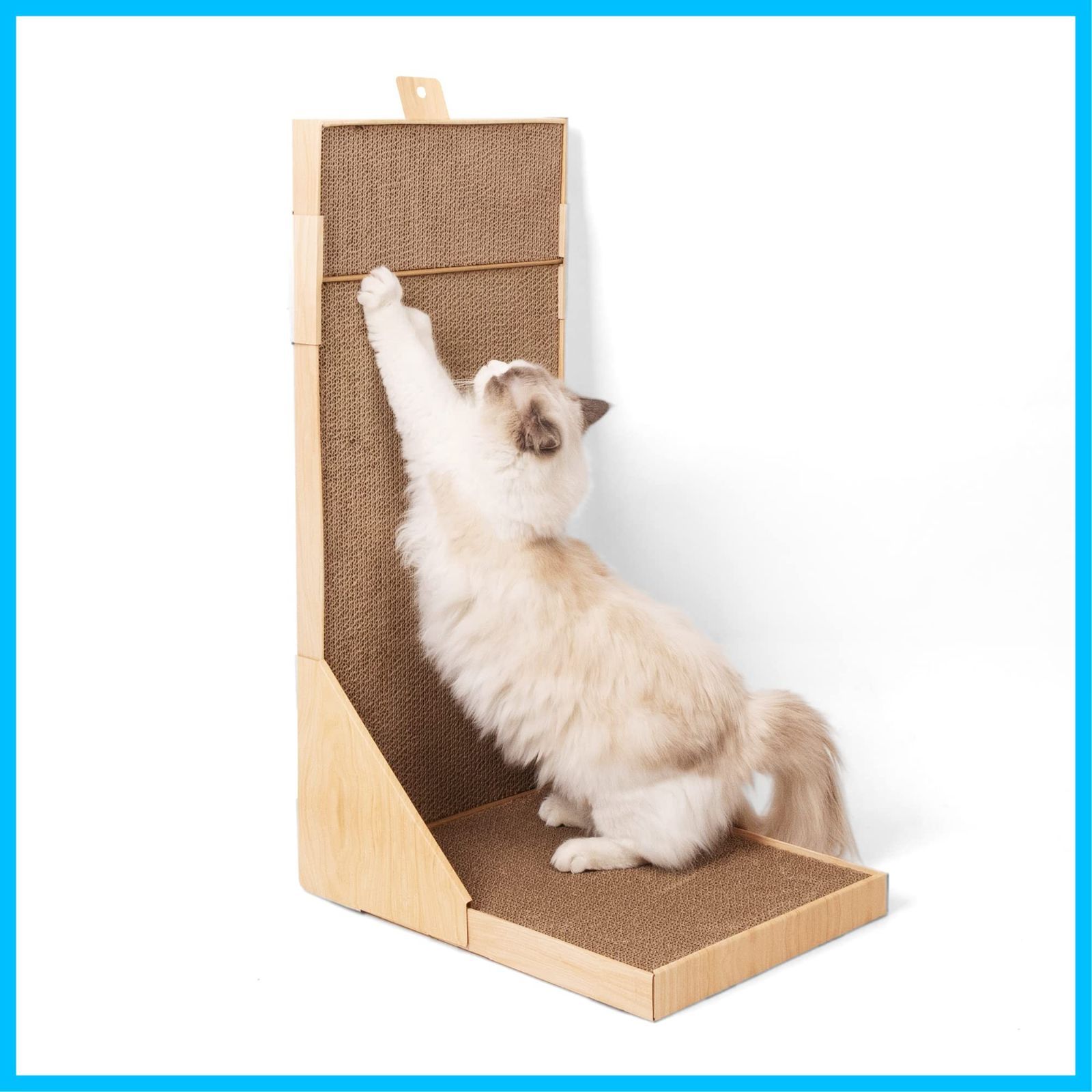 あくねこ ベリアン りらころ 11点