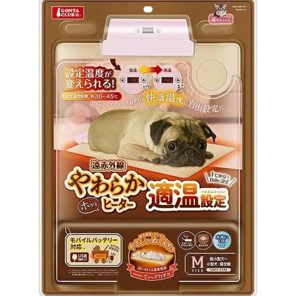 美品 ポケモンカード コダック XY-P ポケキュン プロモ 増田順一