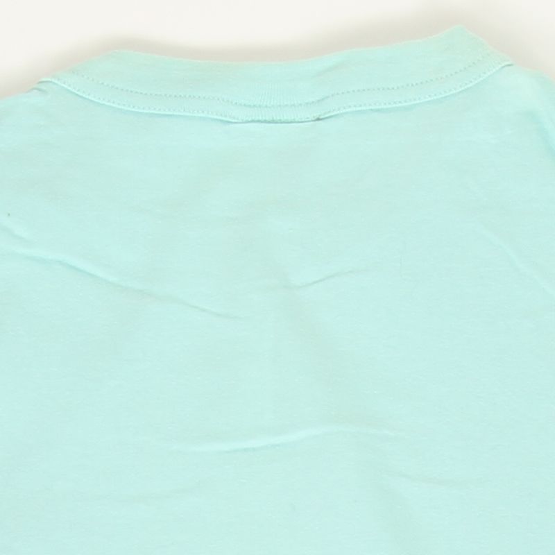 Champion C3-P300 MintGreen T-shirts 半袖 Tシャツ チャンピオン トップス ワンポイント ロゴマーク USED【チャンピオン 半袖Tシャツ  tシャツ クルーネック ミントグリーン 刺繍 CHAMPION ユーズド】