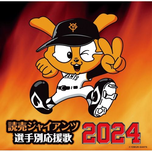 yomiuri jiantsさん専用 STANCE スタンス メンズ 野球 ソックス TOKYO GIANTS SKYLINE