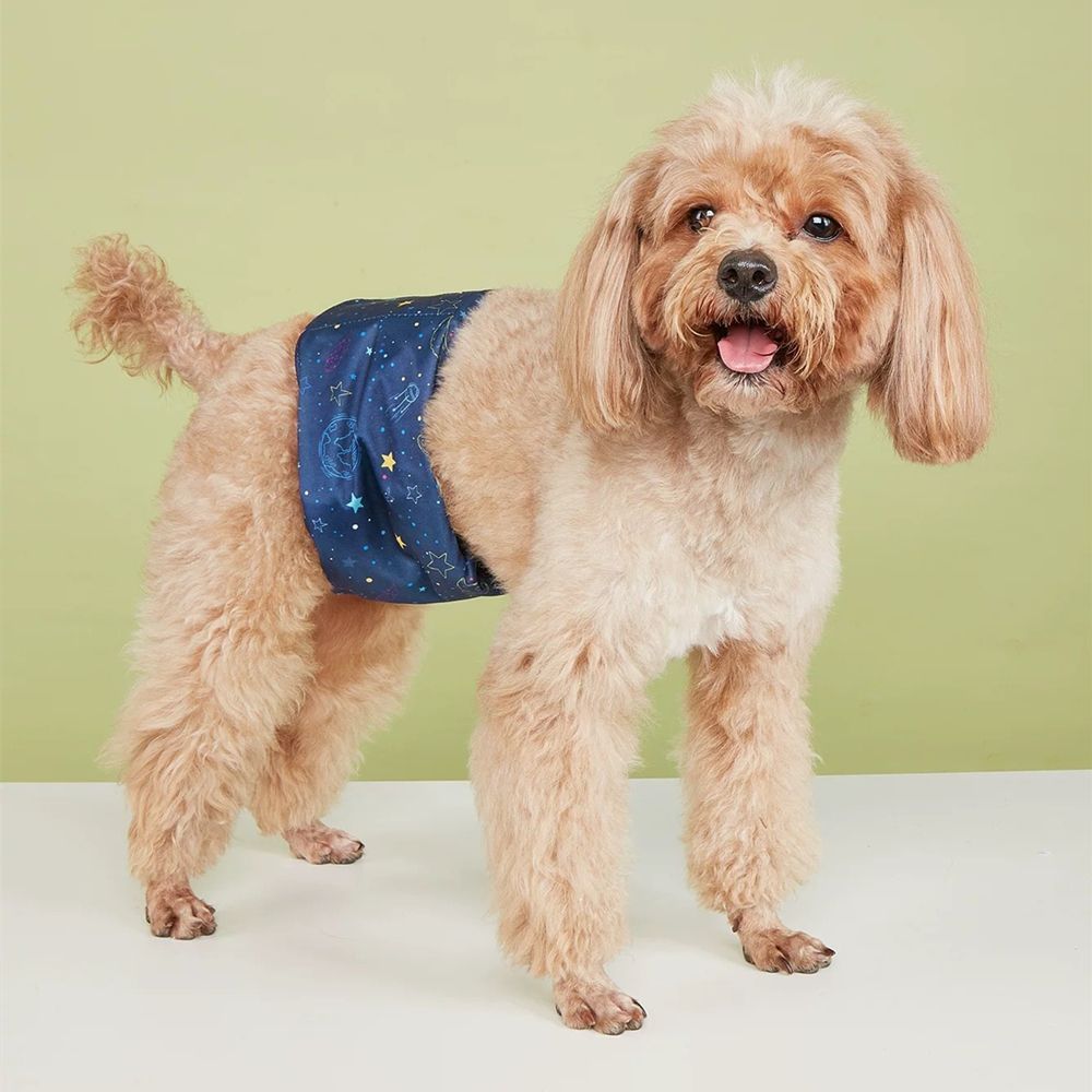 [新柄6種の2点セット]  犬 ドッグ マナーベルト 犬用 マナーバンド マナーパンツ マナーウェア オス 男の子 小型犬 介護用 しつけ #MG03 Qpet