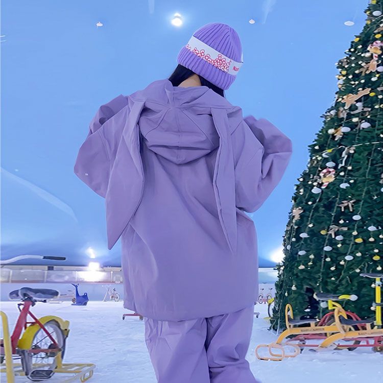ICEPARDAL スキーウェア レディース 上下セット ストレッチ