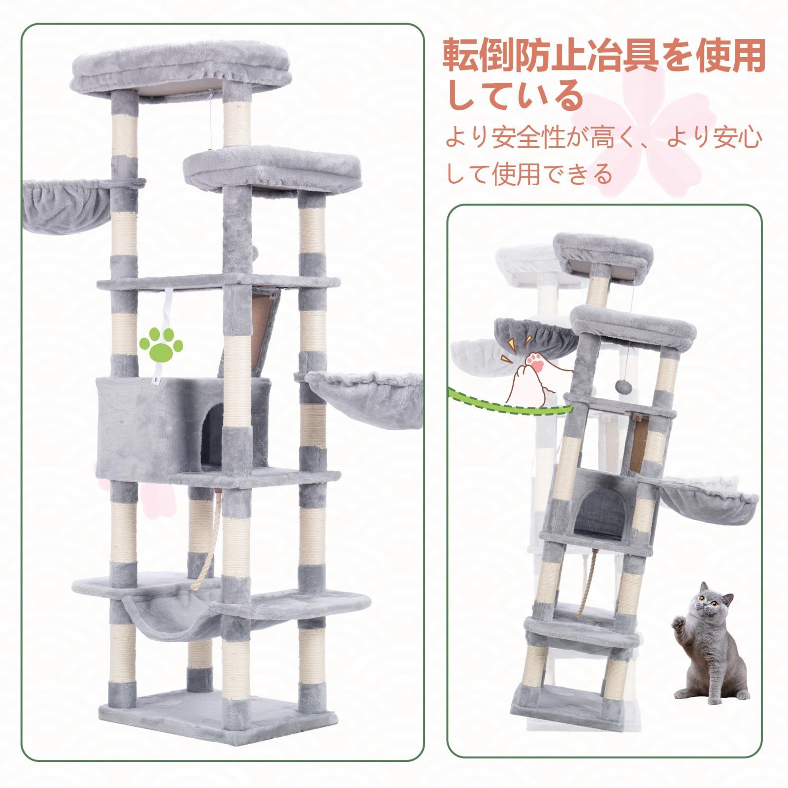 大きな猫や多頭飼い