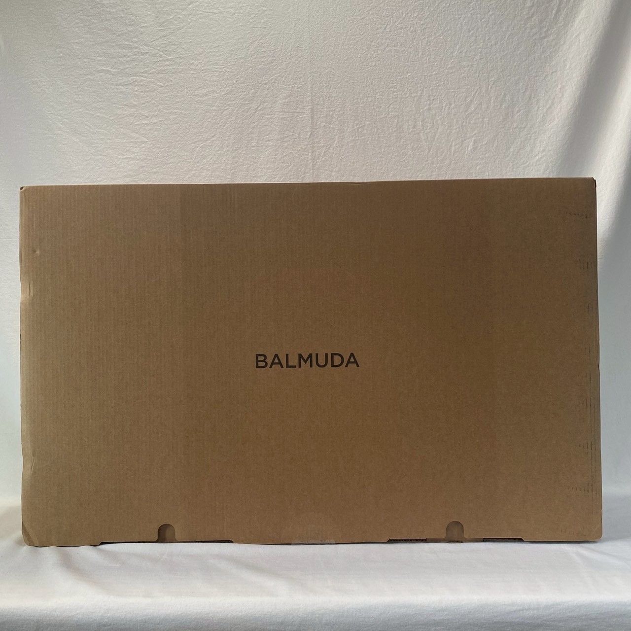 ♥ BALMUDA|The|Plate|Pro|ホットプレート|K10A|付属品完備|No.3545