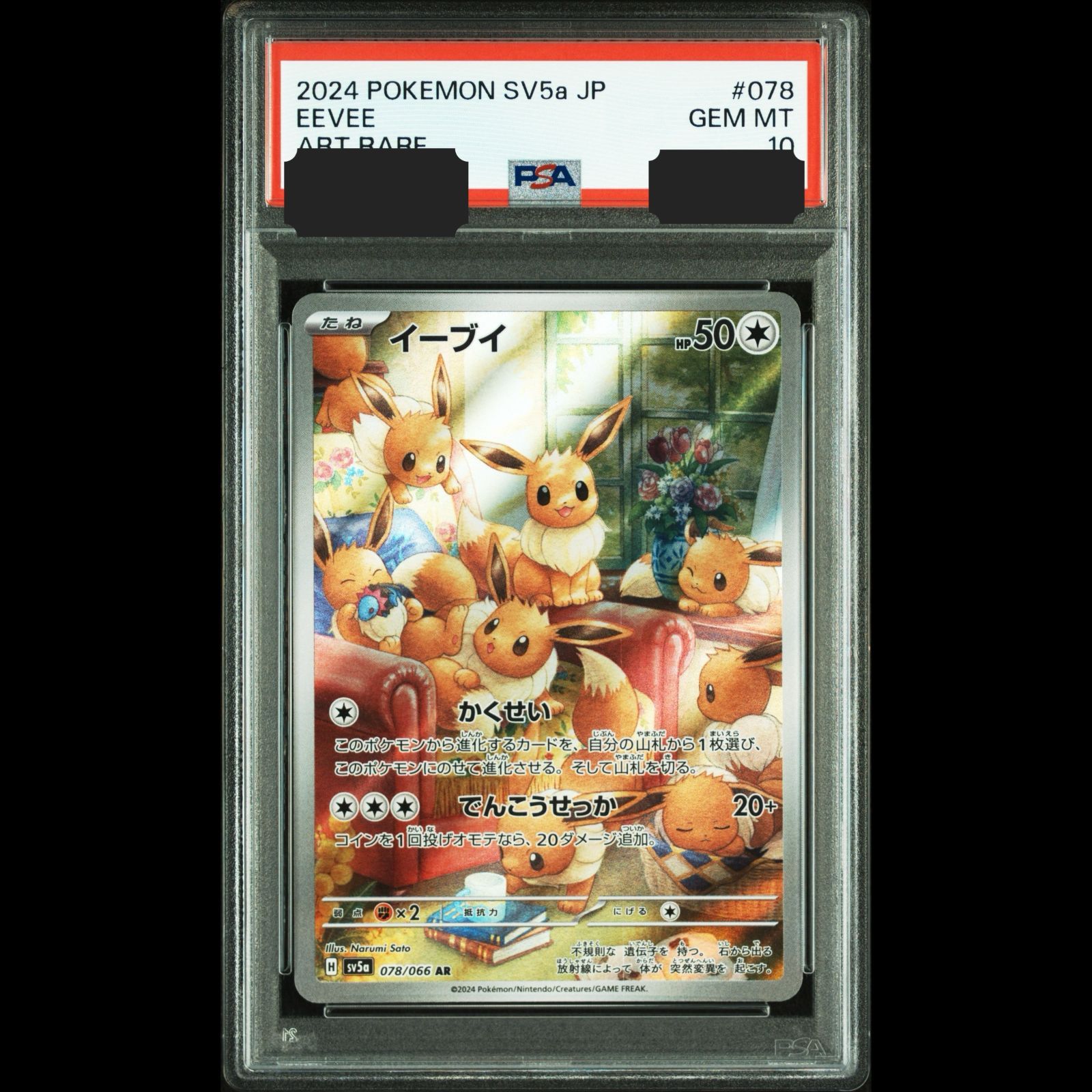 2024 ポケモンカード イーブイ アートレア PSA 10 2024 ポケモンカード
