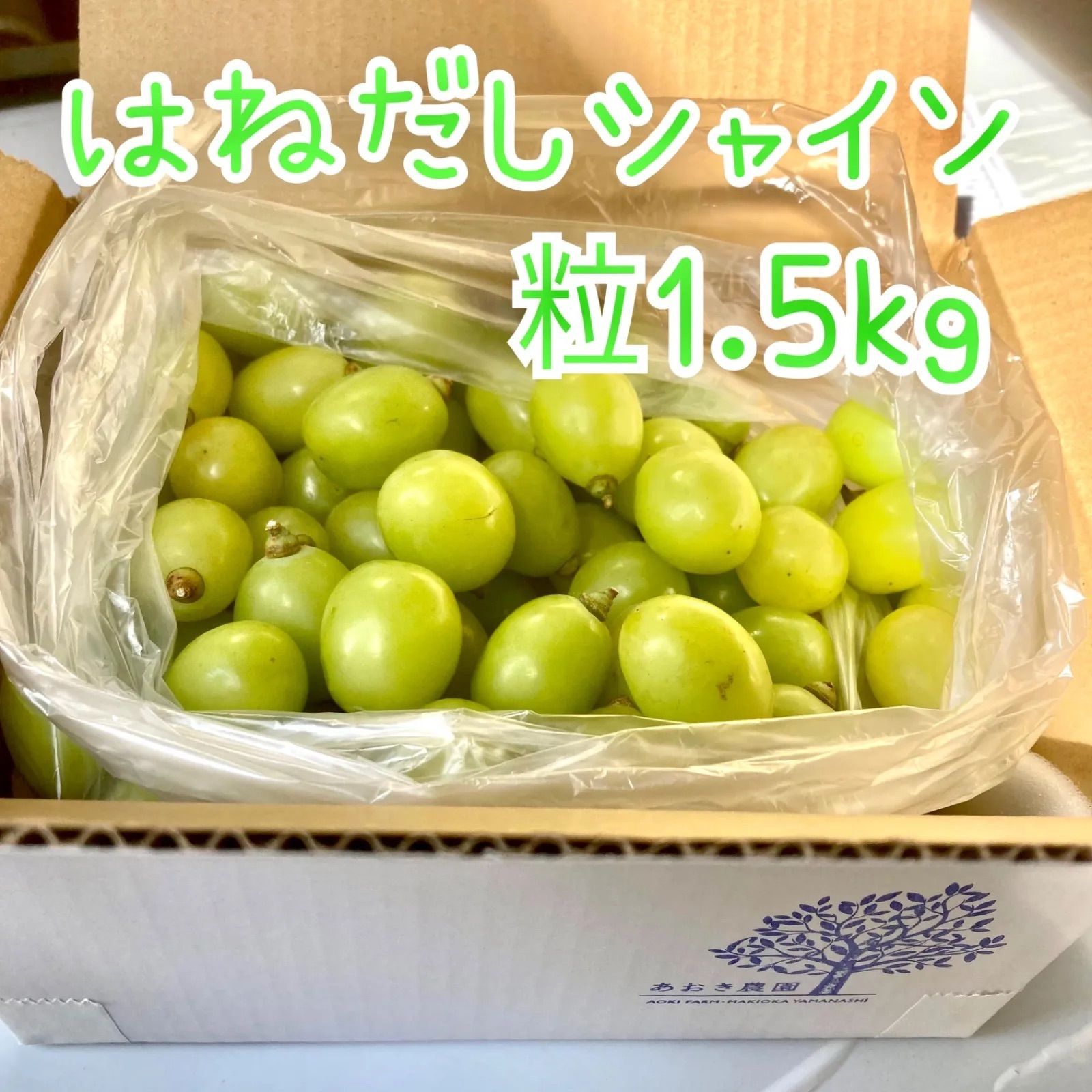 山梨県 牧丘産 シャインマスカット 粒 1.5kg ② - 果物