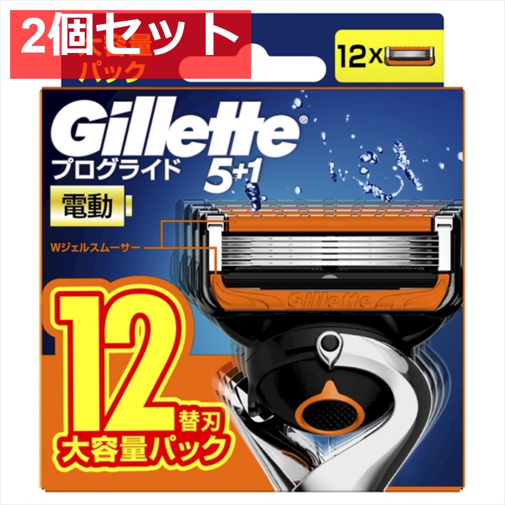 プログライドパワー替刃12B 2個セット まとめ売り