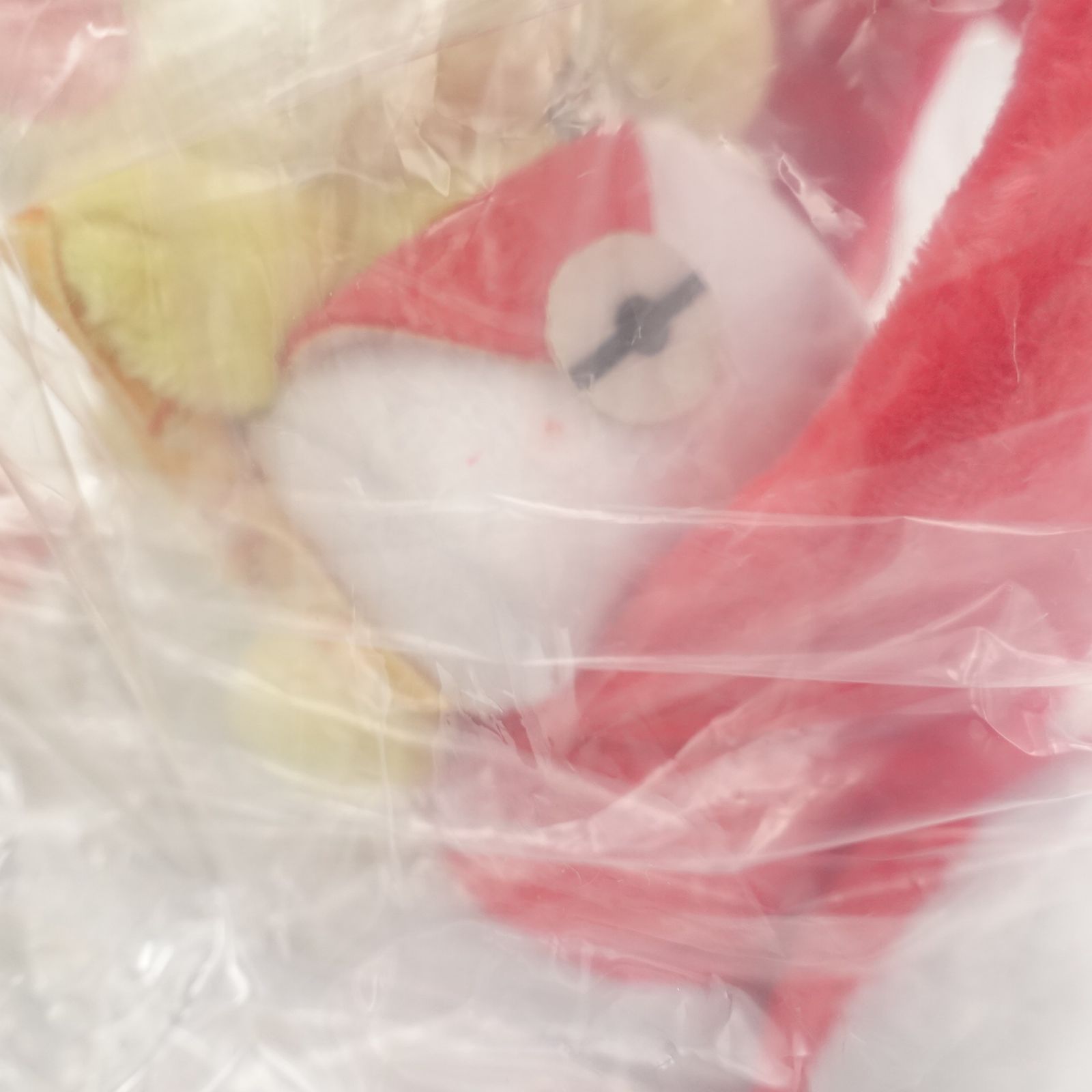 ポケモン ラティアス・ラティオスに乗って ラティアス