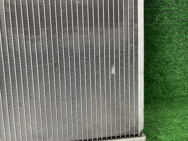 テリオスキッド