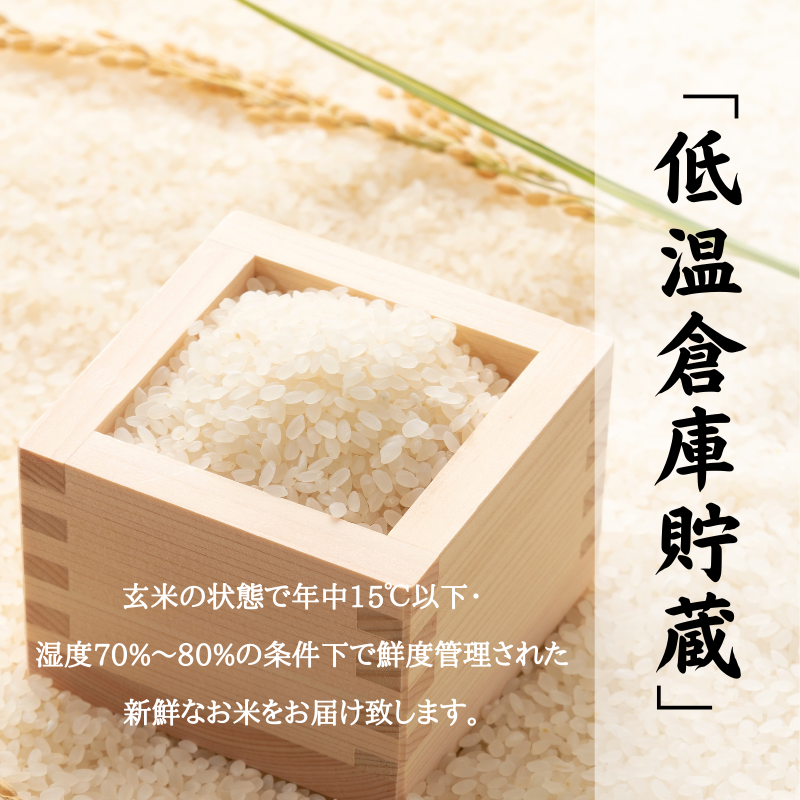 【令和4年産】熊本県産 森のくまさん 白米５kg（5kg×1袋） 最短当日出荷-2
