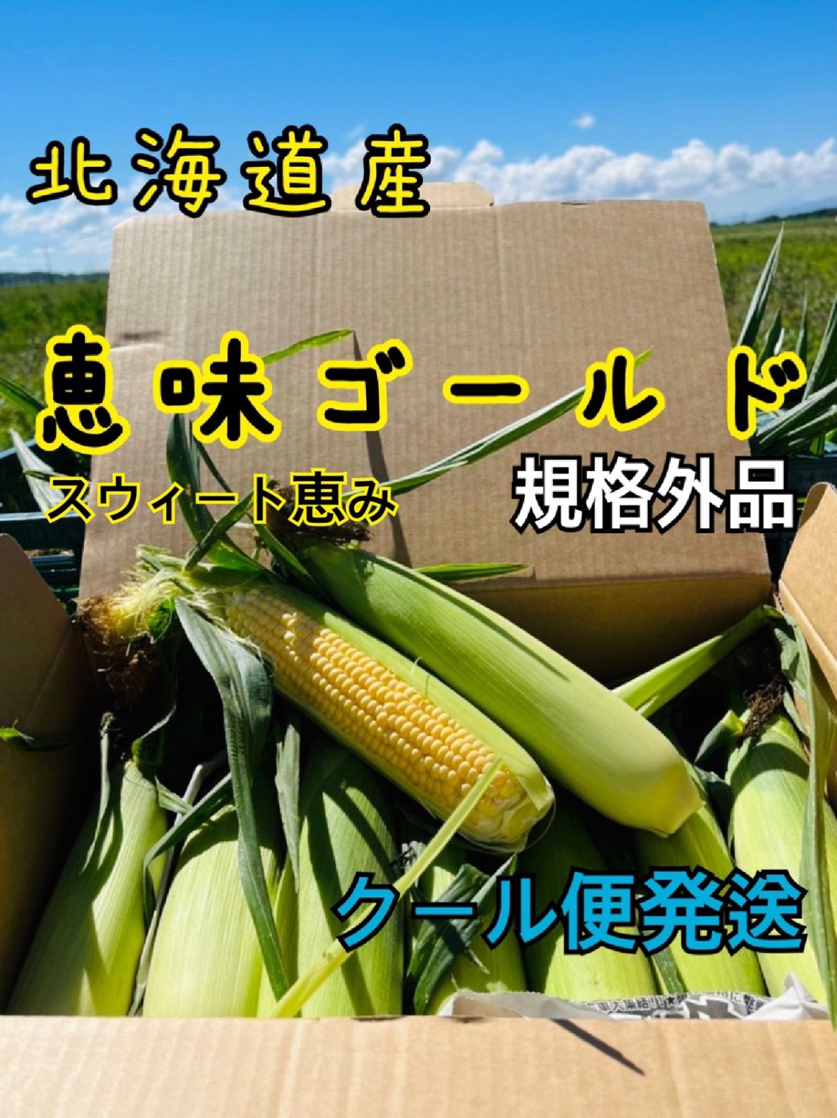 北海道産 とうもろこし 恵みゴールド 5kg 新品 - メルカリ