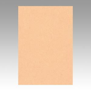 まとめ 色画用紙 文運堂 ニューカラーＲ 薄橙 8NCR-103 4954022681036 1冊 ×10セット