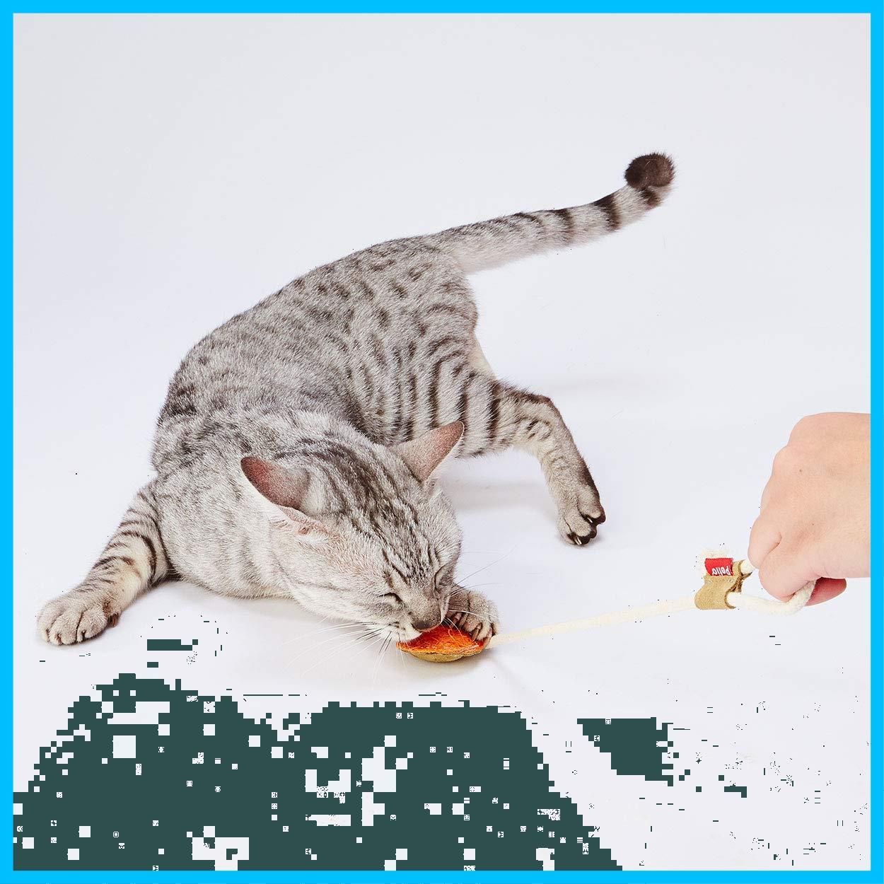 ペティオ Petio 猫用おもちゃ へちまレザー デンタルTOY ひもじゃらし オレンジ
