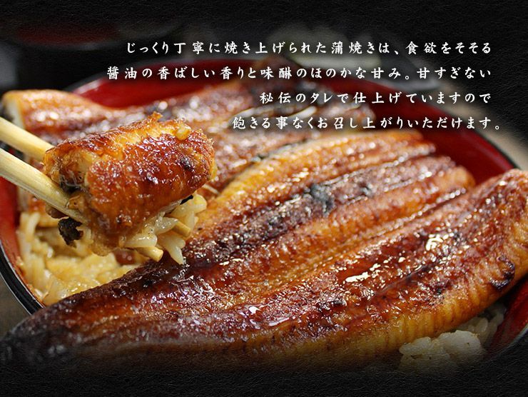 国産うなぎ長蒲焼き(160g～170g)×2尾セット タレ・山椒付き-8
