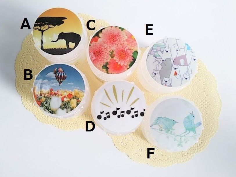 《大きめサイズ》リード用水入れケース