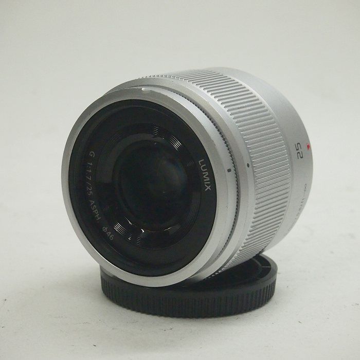 パナソニック Panasonic G25 1.7 ASPH H-H025 シルバー WWW_SUPERTOOLSSHOP_NL
