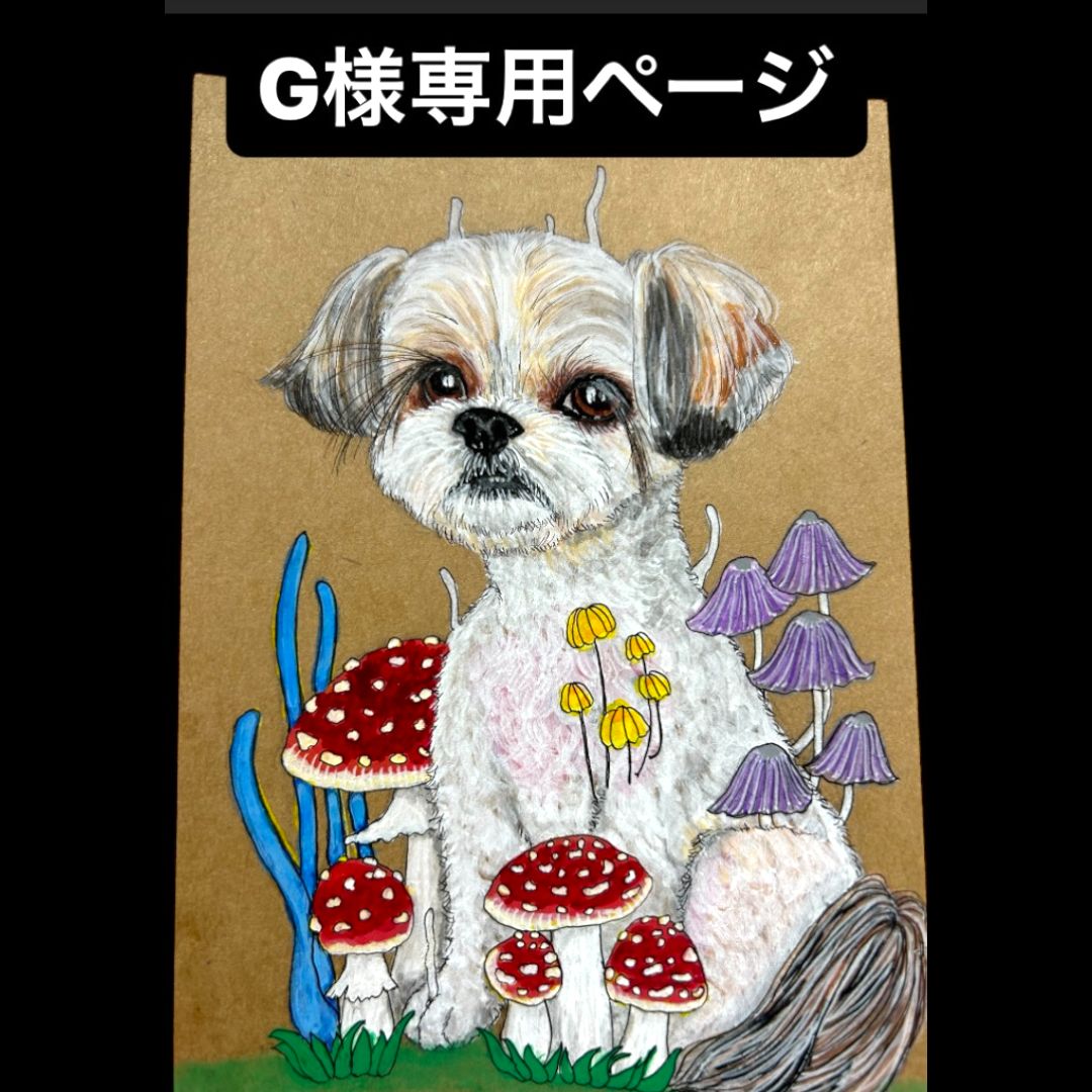 Neko Noko様 カニューレバンド 専用ページ noko様 専用 Neko Noko様