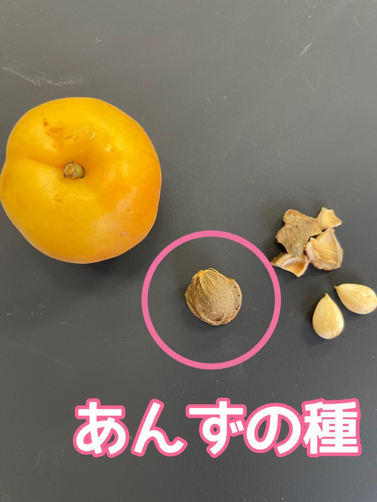 GWまで限定出品☆ちゃあんず　専用 あんず☆〃様専用 【公式通販】