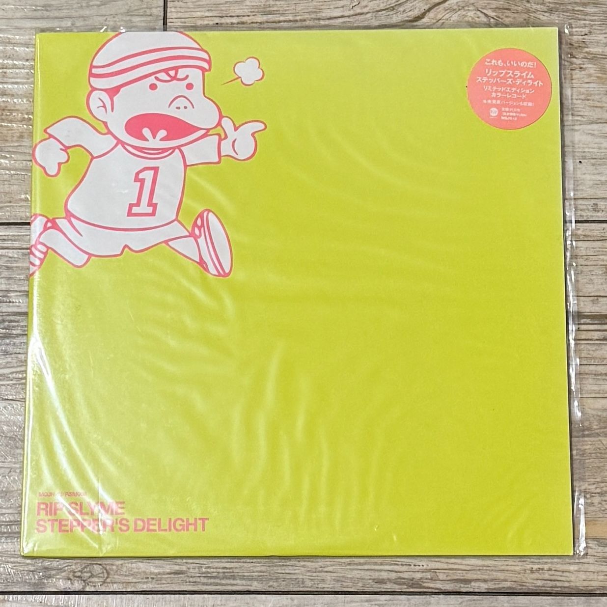 RIP SLYME //STEPPER'S DELIGHT/10インチレコード リップ