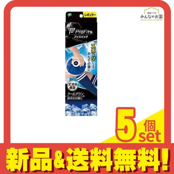 プロ フィッツ アイスバッグ 1個入 レギュラーサイズ 5個セット