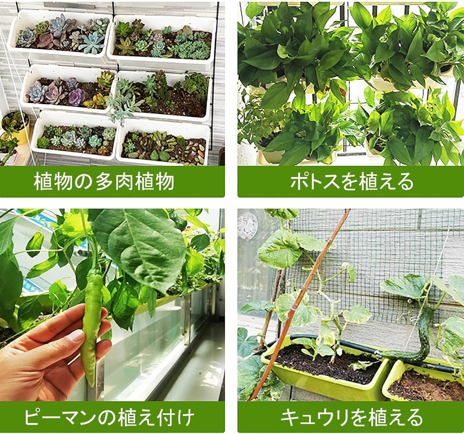 ベランダ植木鉢