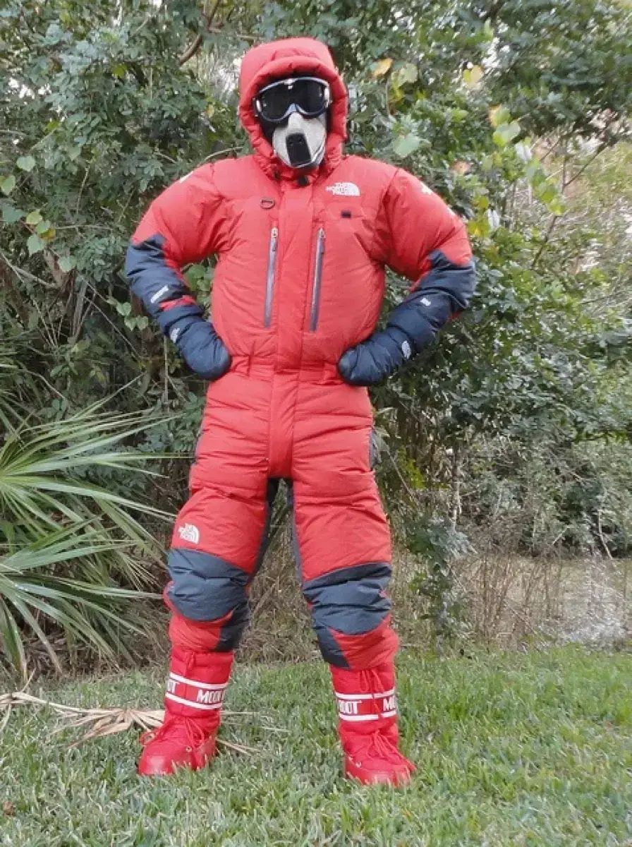 最大60％オフ。 M THE NORTH FACE ザノースフェイス ヒマラヤ1 ダウン オールインワン