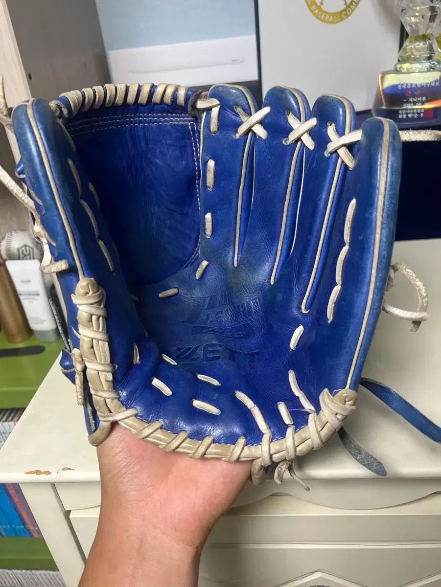 グローブ 販売