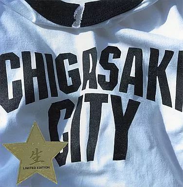 中古】男性写真集 限定版)サザンオールスターズ 茅ヶ崎ライブ