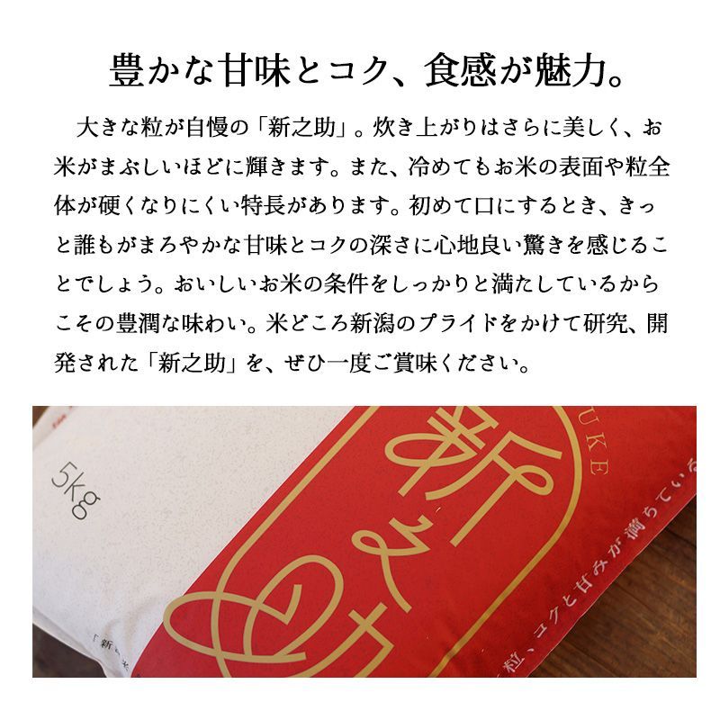 新米 新之助5kg お米 令和6年産 白米