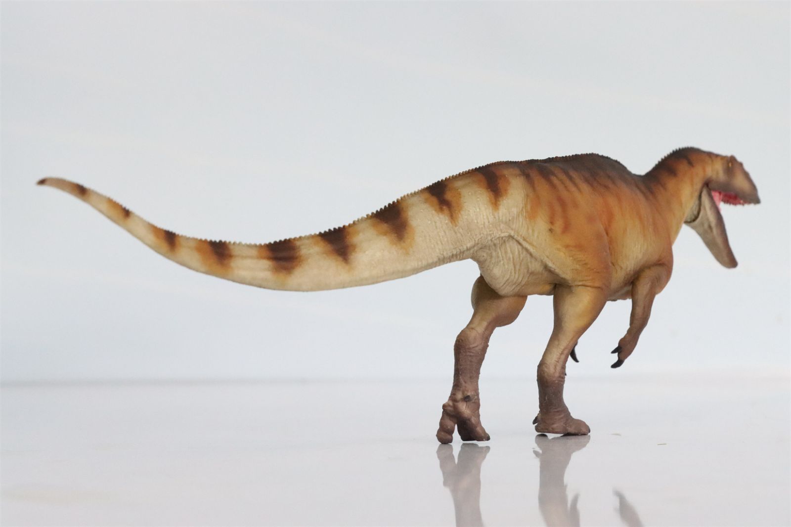 PNSO 成長シリーズ 77 ヤンチュアノサウルス フィギュア アロサウルス 