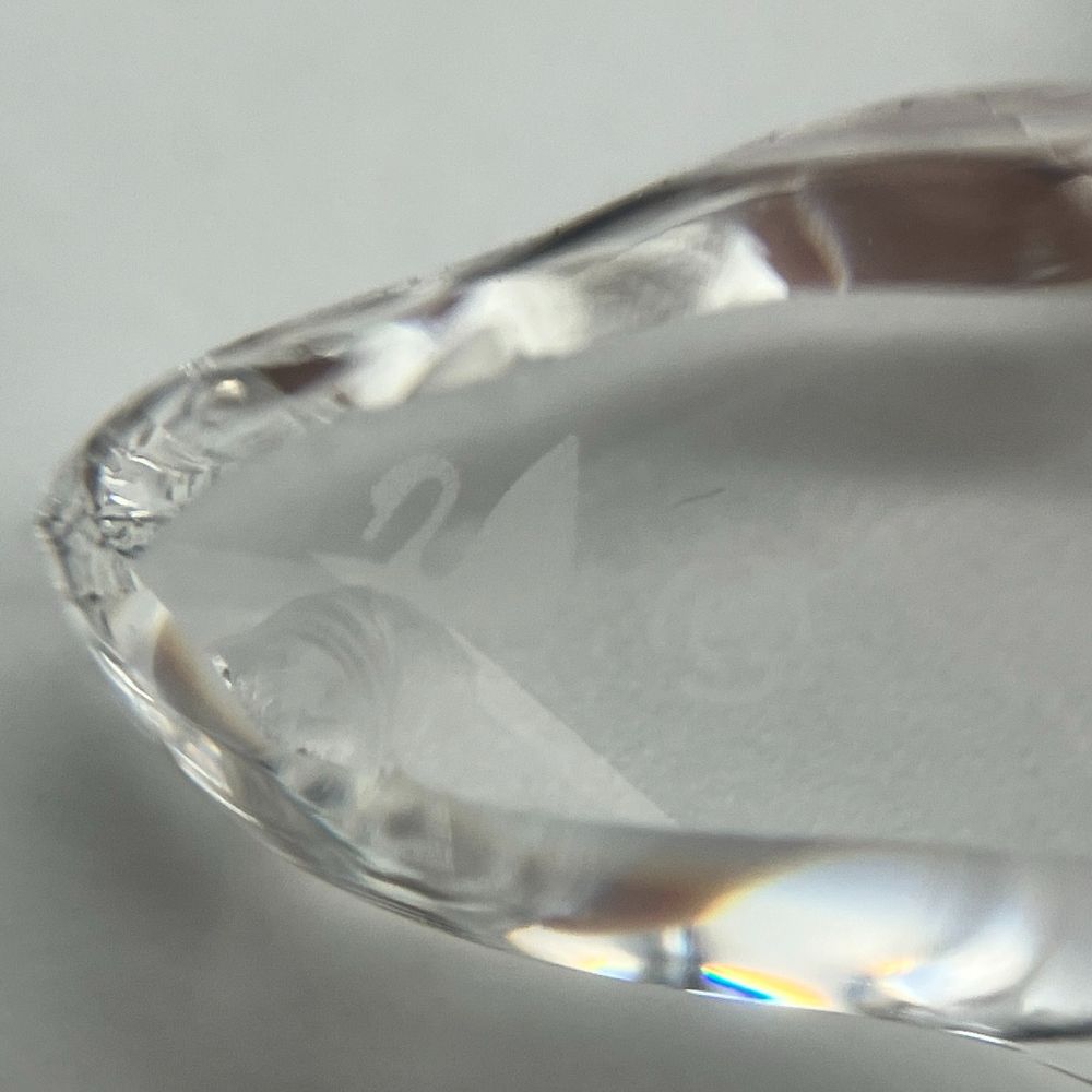 スワロフスキー SWAROVSKI 海セット バタフライフィッシュ