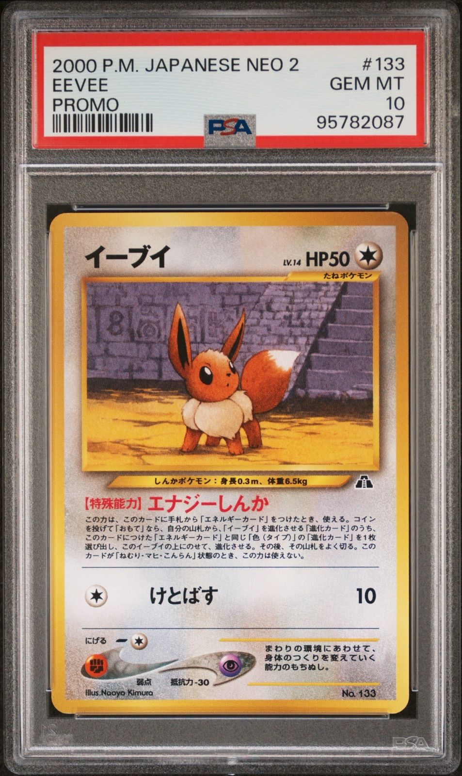 ☆【PSA10】イーブイ（Eevee） 2000 ポケモンカード NEO2 プロモ No