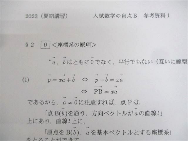 駿台 入試数学の盲点B〈わかったつもりでいる人のために〉 テキスト 2023 夏期 小林隆章 014m0D 駿台 入試数学の盲点B わかったつもりでいる人のために テキスト