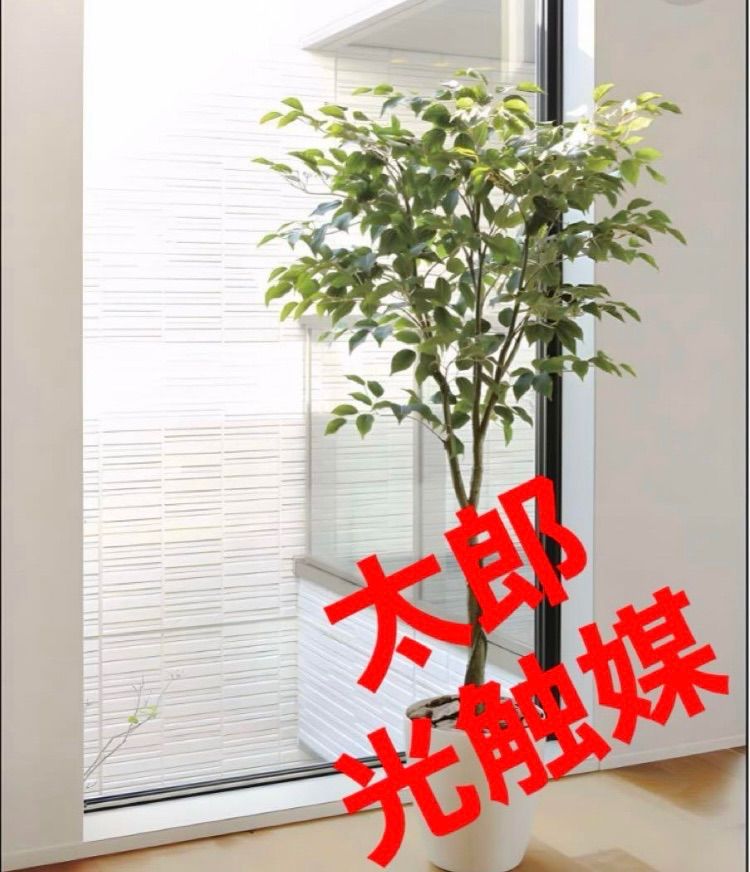 光触媒 人工観葉植物 ウォールグリーン フェイクグリーン フィカス