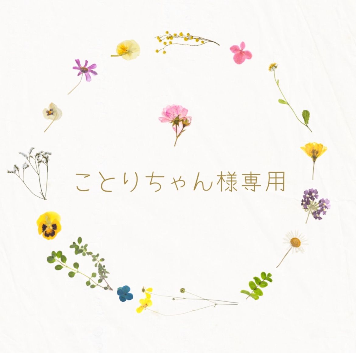 ことりちゃん様専用 - メルカリ