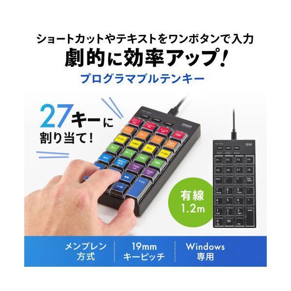 サンワサプライ プログラマブルテンキー 有線モデル NT-26UBK